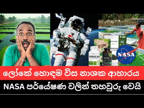 එළවළු සහ පලතුරු කිලෝ ග්‍රෑම් 1000ක පෝශණය සමානයි ස්පිරුලිනා කිලෝ ග්‍රෑම් 1 කට