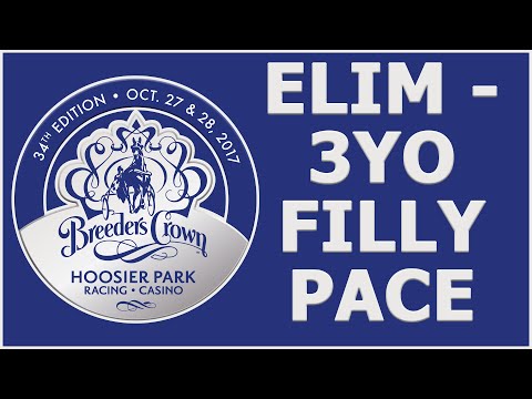 2017 Breeders Crown Elim - Ella Christina - 3YO Filly Pace