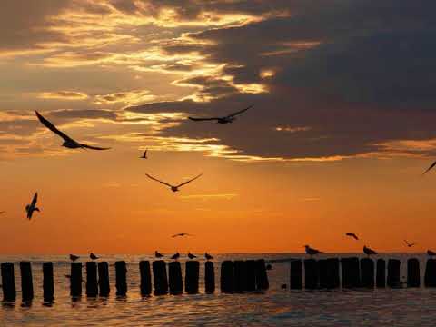 Cadatta - Amberish Evenings (Cadatta's live mashup)