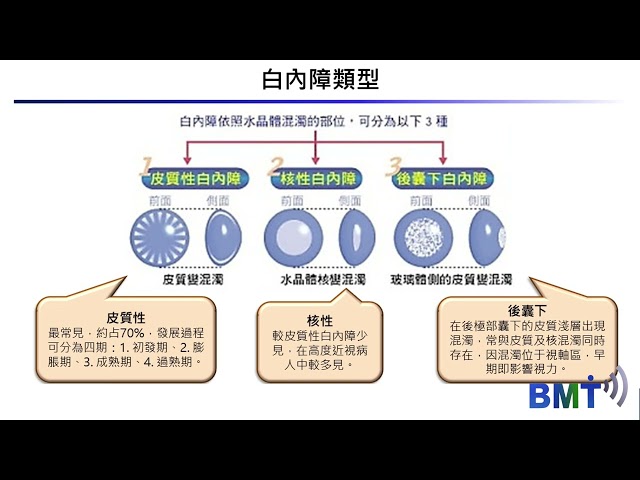 youtube連結