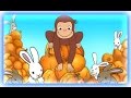 Curious George Pumpkin Boo Curious George Games