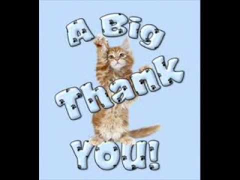 Shpat kasapi ft Blero Falma