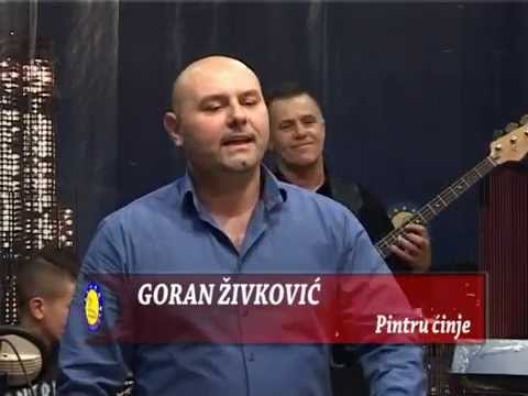 Goran Zivkovic - Pintru cinje - Sezam Produkcija - (Tv Sezam 2015)