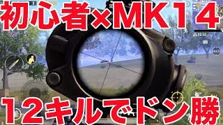 【PUBG MOBILE】初心者がMK14もったらまさかのドン勝つ！