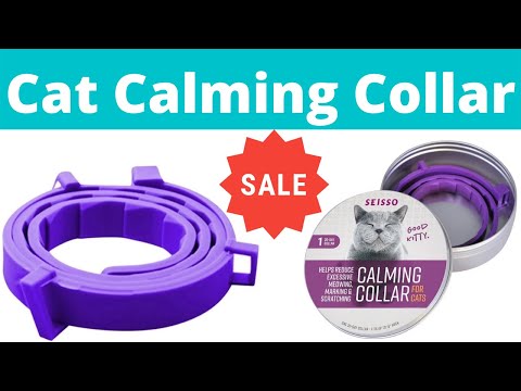 Cat Calming Collar | Sentry Behavior and Calming Collar for Cats