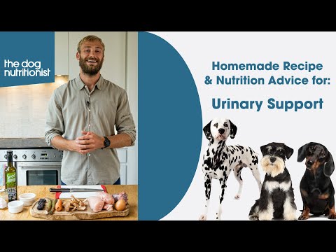 Urinary Support Recipe for Dogs - The Dog Nutritionist
