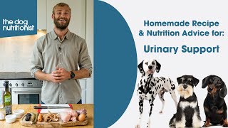 Urinary Support Recipe for Dogs - The Dog Nutritionist