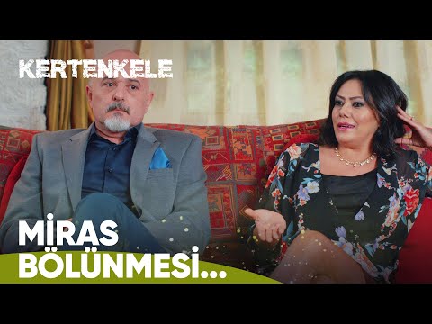 Evi miras stresi  sardı - Kertenkele 4. Bölüm