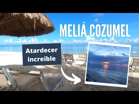 Videos del Melia Cozumel 4★ en Cozumel, MéxicoVerPrecios18CerrarConsulta por Whatsapp 🇦🇷BookingTripadvisorExpediaAgodaTravelocityOrbitzTripSkyscannerDespegarKayakHotelesBestdayDestiniaTrivagoAlmundoLastminuteHotwireWotif