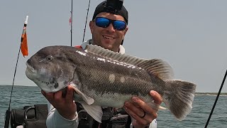Big Black Sea Bass With A Last Minute Jumbo Tautog