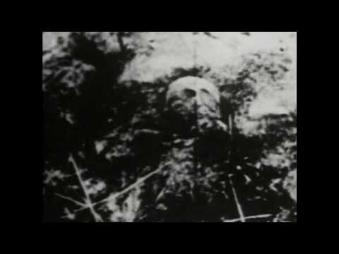 The M.S.P. - Cold Fog