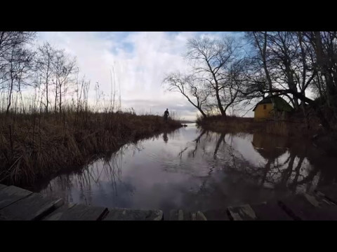 Giber & Aarhus Å, jan – april (Havørred, Bækørred) 2017