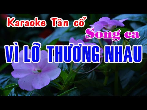 Karaoke Tân cỗ VÌ LỠ THƯƠNG NHAU - SONG CA