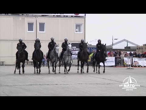 Dny NATO 2015 - jízdní oddíl Městské policie Ostrava
