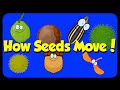 Seed Song - How Seeds Move - Seed Dispersal