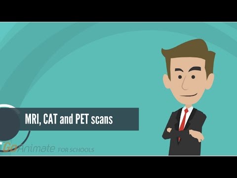 How do MRI, PET and CAT scans work?