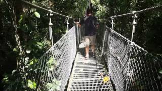 preview picture of video 'Sur les ponts suspendus du Arenal Hanging Bridges au Costa Rica'