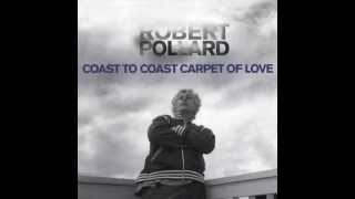 Robert Pollard - Rud Fins