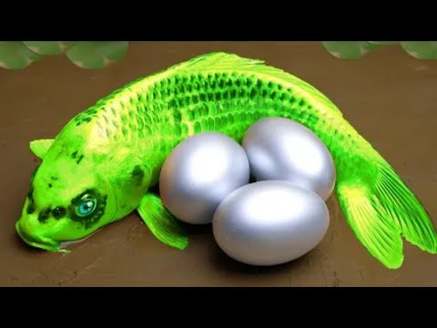 Green Fish Carp Eel - Stop Motion Mukbang Colorful Cute Koi Funny Cooking Competition Cuckoo