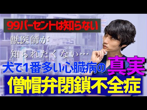 逆流症の犬:症状、原因、治療法