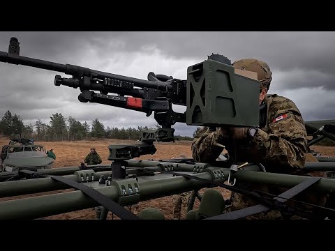 Canadian Army 2024-2025 Overview