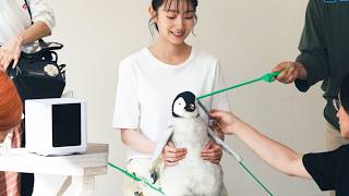 グローグー並みにかわいいパペットペンギンに波瑠もメロメロ／COCOHIE R8 CM＋メイキング＋インタビュー
