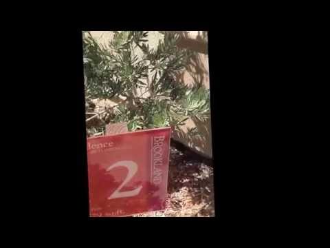 Brookland House Finishings, Garage and Exterior