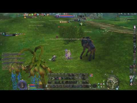 AION 5.0: Sorc Duo PvP - Desimp Thor