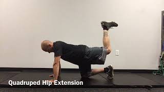 Quadruped Hip Extension