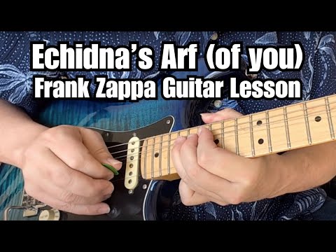 FRANK ZAPPA "Echidna's Arf (of you)" GUITAR LESSON by Damon Wood