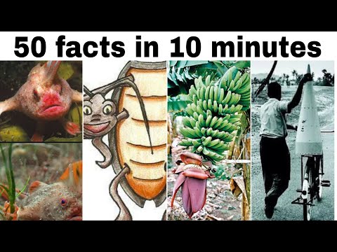 50 unknown facts in telugu