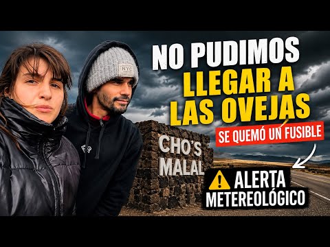 NO PUDIMOS LLEGAR A LAS OVEJAS 🚫 ALERTA Y PROBLEMAS EN LA RUTA