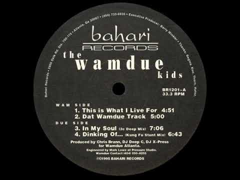 The Wamdue Kids - This Is What I Live For