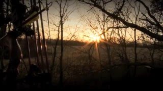 Paul Bogart - Bringin' It Home