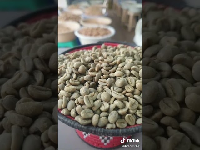 القهوة السعودية خولاني قطماء 2025