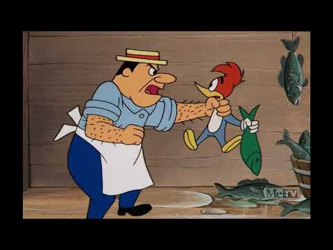 Woody Woodpecker 1970 - 174 - Seal on the Loose