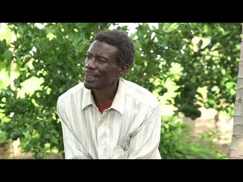 Greening Earth Inclusion Video 01 video thumbnail