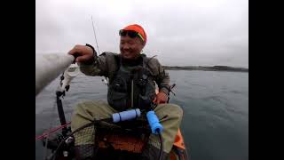 NorCal Rock fishing on Hobie Kayak