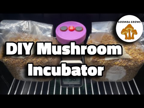How To Create A DIY Mushroom Incubation Chamber