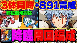 ベイツール&ワングレンを3体同時に+891育成周回！全部位破壊対応！銀時編成解説！！【パズドラ】