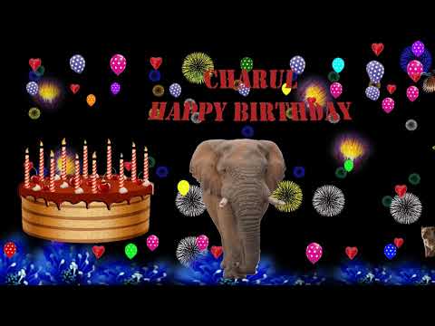 CHARUL HAPPY BIRTHDAY TO YOU