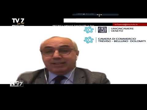 Tv7 con Voi sera del 9/2/2021 - Impatto del COVID sul territorio e ristori (6 di 7)