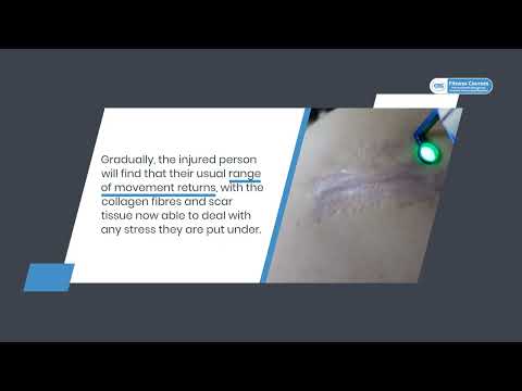 THE PROCESS OF SOFT TISSUE REPAIR: THE CHRONIC STAGE AND FACTORS - Part 1