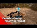 Planken met de hond op je rug - Brabants Buske