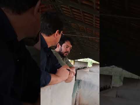 Visitei a fazenda mais incrível de GOIÁS #goiás #pirenopolis #carnedequalidade