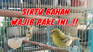 Download lagu PANCINGAN CIPOH BAHAN||pancingan cipoh muda agar bunyi||Pancingan Sirtu muda agar bunyi mp3