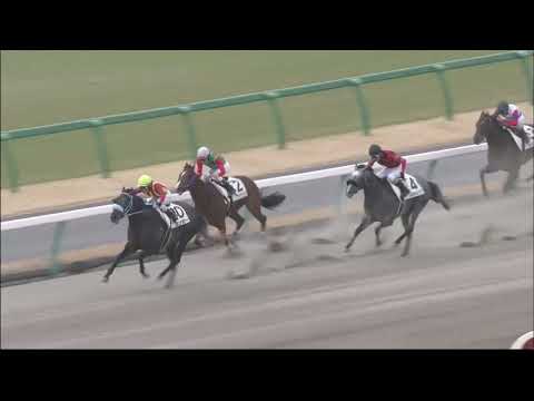 Jonker (KY) wins race 6 at Nakayama 3/6/2016