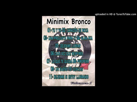 Minimix Bronco 1 (Burromix)