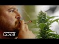 Why Marijuana Could Help Save Veteran Lives WEEDIQUETTE
