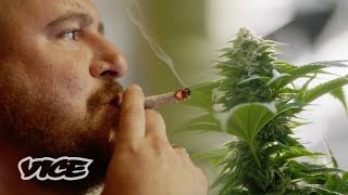 Why Marijuana Could Help Save Veteran Lives | WEEDIQUETTE